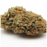 Шишки AK47 (Гидропоника, Бошка) VHQ в Калуге Шишки AK47 (Гидропоника, Бошка) VHQ в Калуге